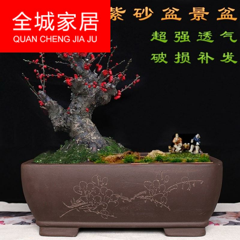 Wintersweet flowerpot name plum flower miniascape of special heavy flowerpot long big flowerpot ceramic long rectangle