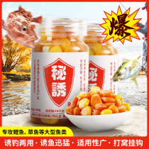 Fishing corn grain bait Black pit wild fishing reservoir Big fish carp grass carp Corn bait nest material fish food