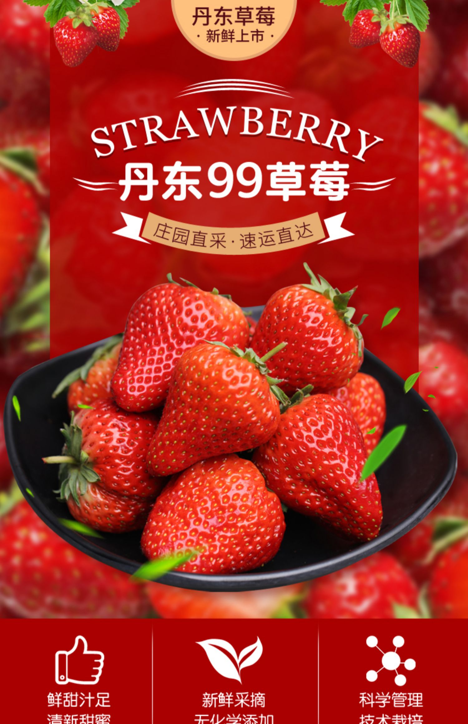 丹东99草莓3斤红颜奶油东港九九草莓