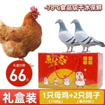 (Gift box) One old hen and two pigeons combined to send nourishment to the elderly to send maternal conditioning