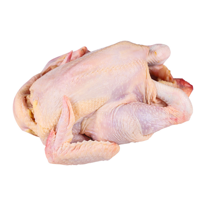 【买一送一发2只】新鲜三黄鸡农家散养土鸡