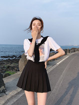 Black Plexu Skirt Woman Spring Summer Autumn Winter New White High Waist Half Body Dress Grey Short Skirt Small Jk Dress Slim
