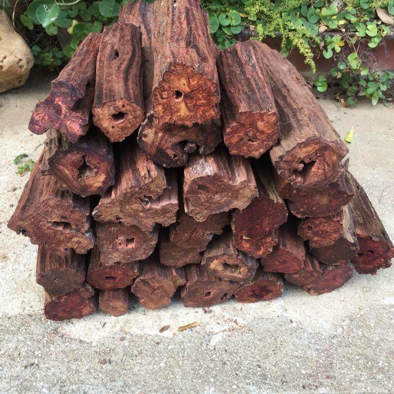 印尼降真香手串雕刻料藤香木原木料工艺料紫香藤手把件料佛珠摆件