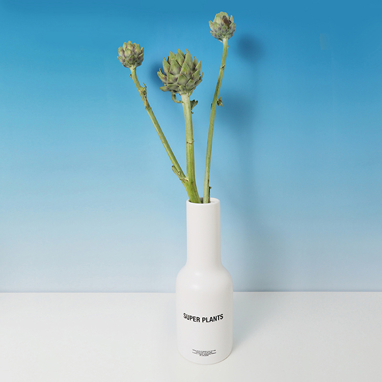 Plant SUPERPLANTS super white ceramic contracted Nordic table vase jinsong pieris dedicated