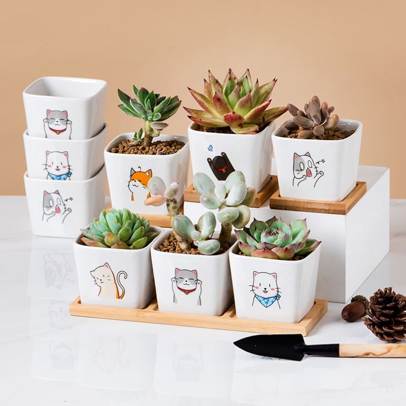 How express cat meat flowerpot square design contracted creative cartoon ceramic flesh POTS with bamboo package mail