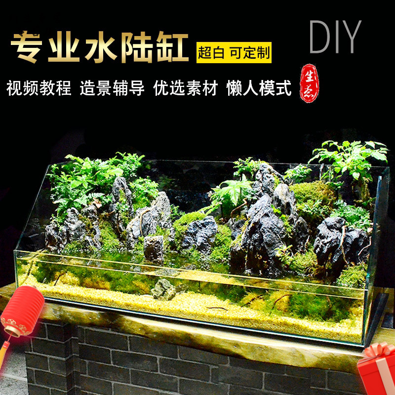 The amphibious tank rainforest landscape The plants furnishing articles amphibious ecological super white skeleton material package base cylinder accessories customized