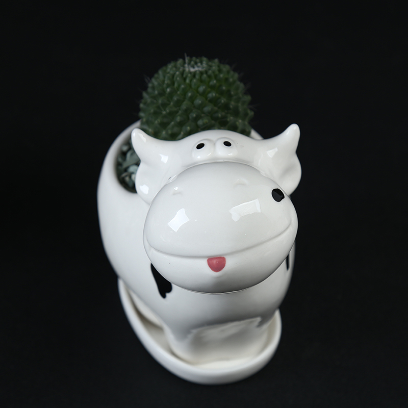 White hand - drawn cartoon animal pot with tray was small decorative the plants more meat flesh POTS, ceramic breathe freely