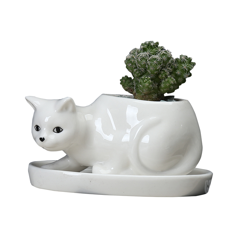 Cartoon animal plant POTS ceramic creative move more meat to indoor small potted flower, white porcelain with tray