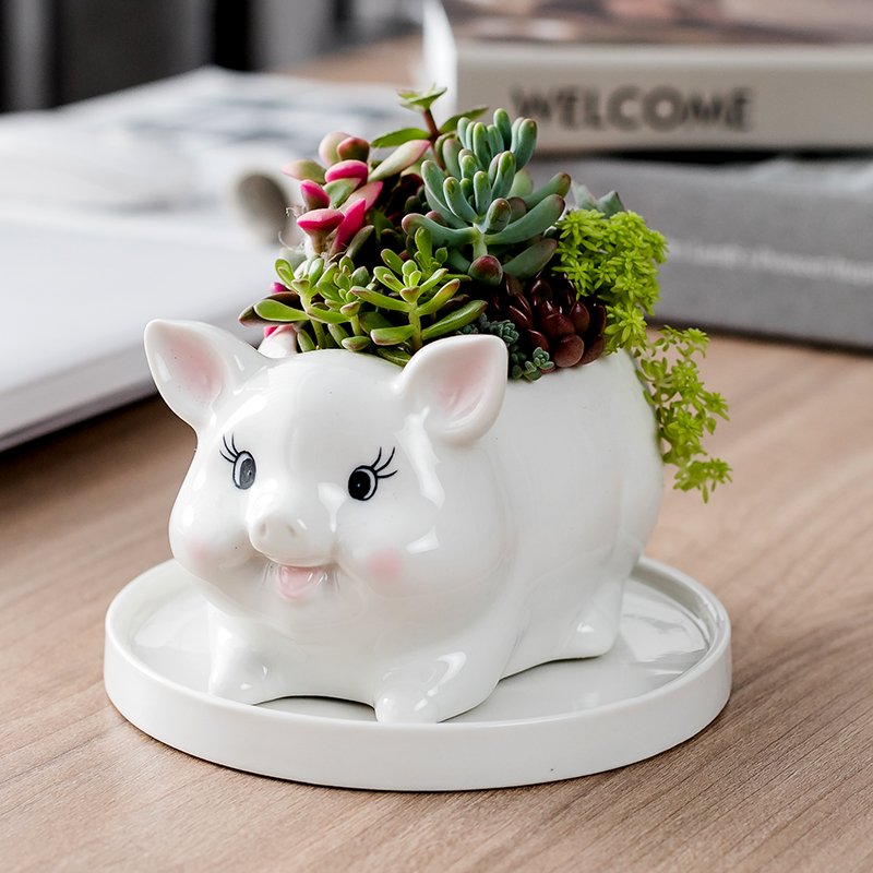 Department of European style of the cartoon animal pig meat flowerpot creative move more lovely hand - made ceramic flower pot home sitting room
