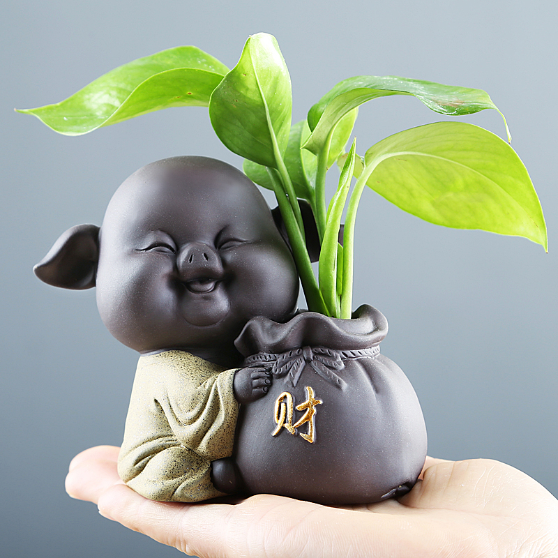 Chinese cartoon pig violet arenaceous other grass cooper hydroponic flower POTS of creative move aquatic flowers flower implement ceramics