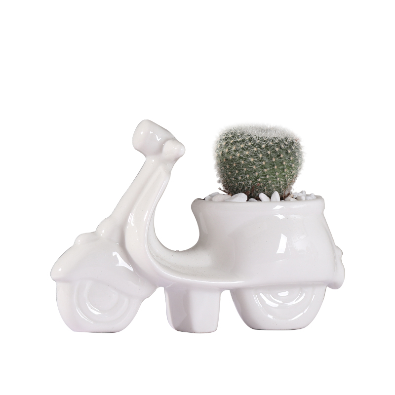 Cartoon mini white ceramic flower pot contracted creative move fleshy pink cactus flower POTS, small lovely