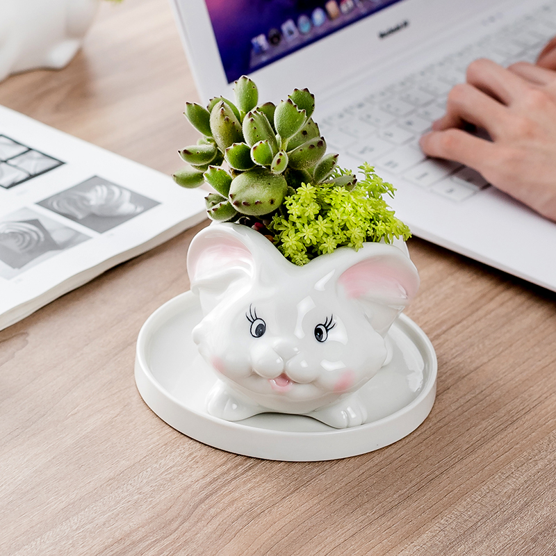 Department of European style of the cartoon animal pig meat flowerpot creative move more lovely hand - made ceramic flower pot home sitting room