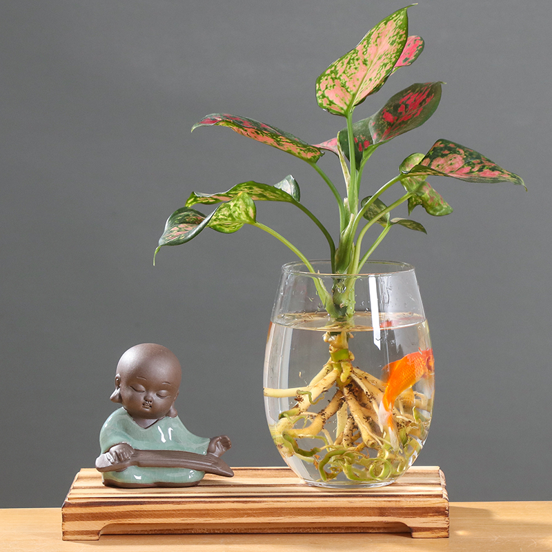 Creative aquatic the plants hydroponics ceramic vase desktop sitting room other copper flower small place grass anthurium vessels