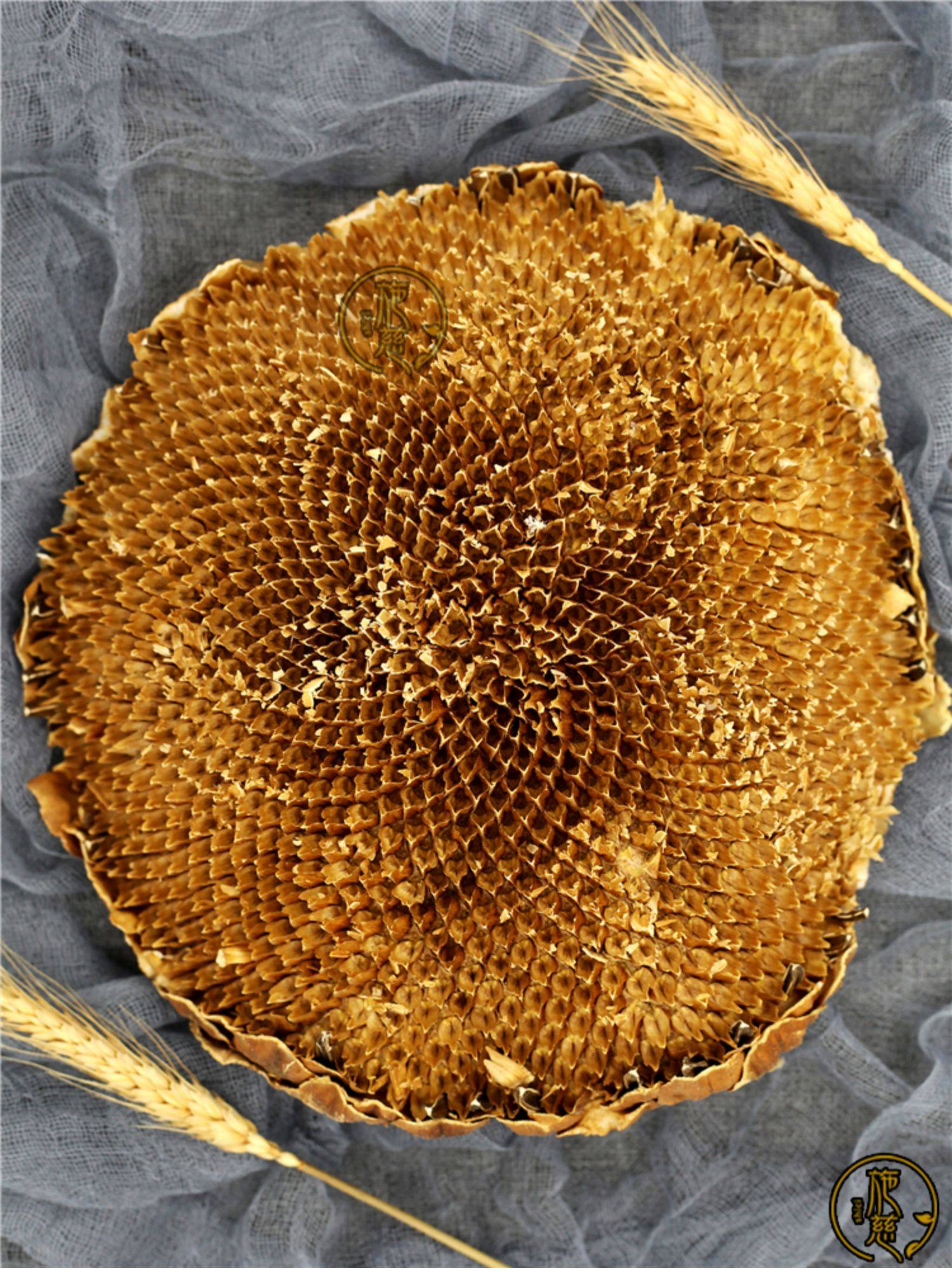 盐碱地向日葵花盘500g干向日葵花籽盘磨向日葵粉留言包邮中药材