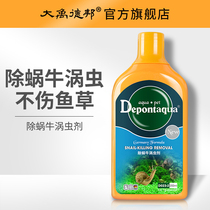 Dayu Debang aquarium ornamental fish grass tank fish tank water purification in addition to snail vortex sterilization in addition to insect does not hurt fish grass