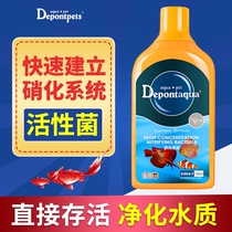 Dayu Debang nitrifying bacteria Live bacteria Digestive bacterial liquid for fish tank Aquarium water purifying agent Water quality stabilizer Fish medicine