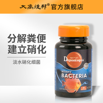 Dayu Debang nitrifying bacteria capsule Fish tank water purifying agent Aquarium nitrifying bacteria live bacteria Dry powder Digestive bacteria