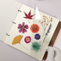 Specimen book-covered paste-type plant specimen leaves dried flower collection book collection pink elementary school students DIY photo album