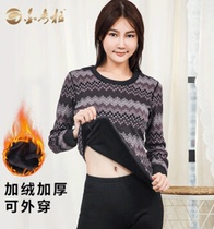Golden Corra Thermal Underwear Female Thermal Power Medium Aged Autumn Clothes Autumn Pants Suit Cotton Sweatshirt Mid-Aged Warm Suit