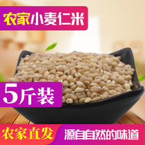 Wheat Rinmi Peeled 2500 grams of 5 grain Cereals Farmhouse Peeling Wheat Subwheat Porridge Peeled Wheat Seed Bag