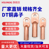 DT copper nose copper wire nose cable blocking oil line nose copper connector Terminal 10 square 400 Square