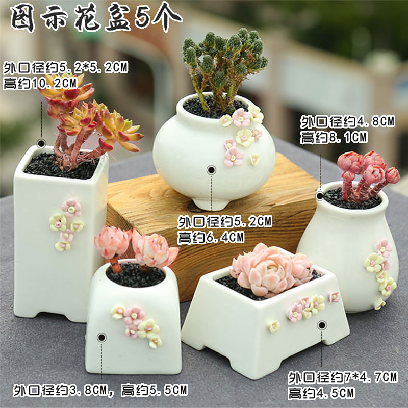 Thumb end pinch flower small basin of Korean fleshy flowerpot fleshy white porcelain basin of mini little old running the indoor and pure and fresh