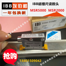 IBB magnetic grid ruler MSR5000 reading head MSR2000 industrial control linear motor ZAVY magnetic digital head PLC Eberg