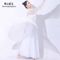 New ancient style performance folk dance costume female elegant classical dance art test body rhyme practice outside Cardigan gauze