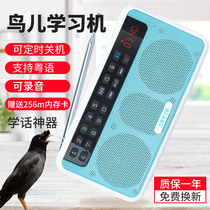 Bird learning machine Myrna training supplies rechargeable recorder repeater parrot teaching language theory phone Machine