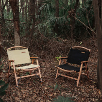 Outdoor picnic Camping outing Spring outing Lounge chair kermit Kermit portable solid wood folding table and chair set