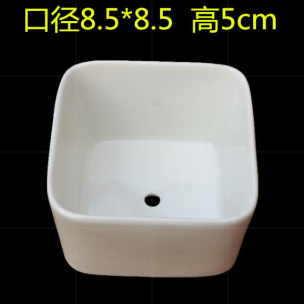 Various type mini square long creative strip contracted type control point more meat pot luck faceplate flowerpot ceramics