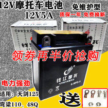 Power-assisted motorcycle battery Yamaha 125 Tianjian Qingqi Saichi 110 universal flower cat curved beam battery 12v5a