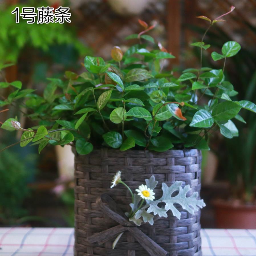 藤条花盆立夏园艺仿真编织手工花篮材料花盆