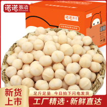 Hawaiian nuts plain no add 500g bags for pregnant women snacks summer fruit pulp baking raw nuts