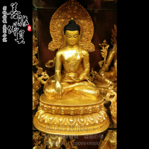 Nepal upscale Sakya ethnic group full-time gold sculpture floral Sakya Pharmacist Amithree Po Buddha statue High 35cm-3 Zun