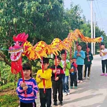 Childrens hand dance dragon dance lion traditional color with dragon Bong dragon fitness tap light thrower Dragon Props Square Dance Kindergarten