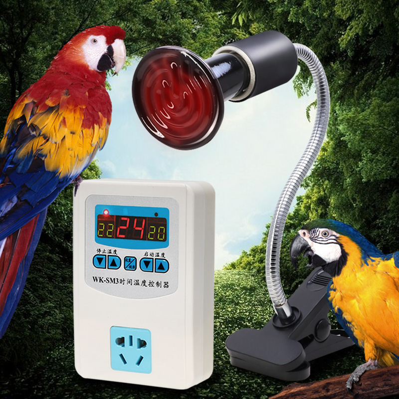 Cockatiel parrot bird with warm light warm heating thermostatic incubator heater heating ceramic lamp socket winter supplies