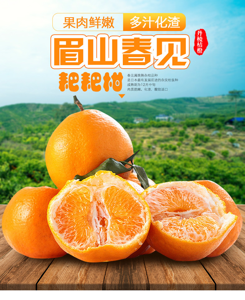 四川耙耙柑春见中大果净重8斤新鲜水果桔当季非丑八怪不知火包邮_惠