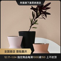 Morandi color vase creative ornaments living room dried flower ceramic vase soft decoration light luxury) BEST WEST