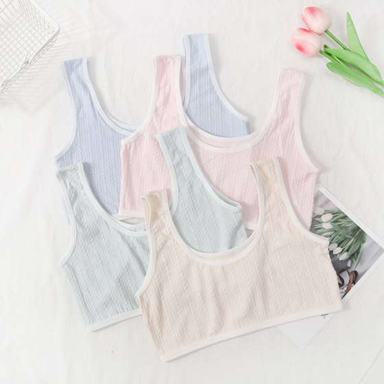 Girls' underwear development period small vest pure cotton without steel ring breathable junior and senior high school students puberty girls bra summer
Girls' underwear development period small vest pure cotton without steel ring breathable junior and senior high school students puberty girls bra summer