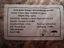 Chile Five Dry Moss Float Orchid Butterfly Orchid Orchid Orchid Orchid Orchid