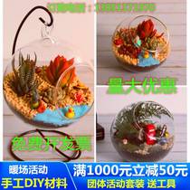 Micro - landscape ecological bottle meat - multi - plant diy material glass pot - plant gift set