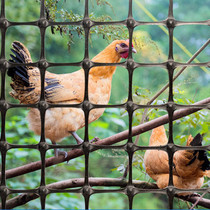 Plastic mesh grid Protective Netting Chicken Farm Special Goose Breeding Nets Nets Rural stop Chickens Duck Fence Nets Vegetable Garden Fence