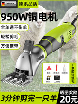 Wool Pushson Electric Shearer Hair Cut Wool Exclusive Wool Cut Shave Wool Electric Pushback Sheen Sheared Wool Sheen Cut Wool Cut Wool Cut Wool Cut Wool Cut Wool Cut Wool Cut Wool Cut Wool Cut Wool