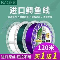 Big Things Green Fish Strong Lari Fishing Line Main Thread Subline Sturgeon Giant Nylon Thread Japan Import Fishing Line