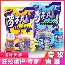 Green No Van Bait Fishing Black Pit Large Green Fish Grass Fish Grain Bait Cohort Specie Specializes In Special Large Medicine Small Medicine