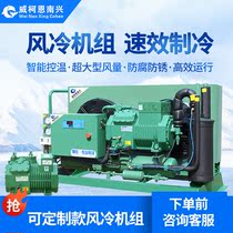 Cold storage full set of equipment Custom Bitzer compressor Air-cooled unit Efficient refrigeration accessories Unit all-in-one machine
