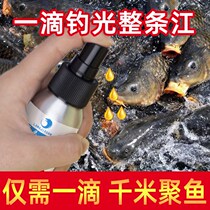 Nerve-induced vegetarian fishing small medicine bait nest additive lute fish carp carp black pit wild fishing bait