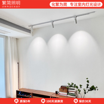 Lighting track light LED hill household high display pointed to the living room background wall COB cloakroom 7w guide track lamp
