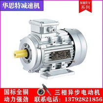 YS aluminum motor 0 37 0 55 0 75 1 1 1 5 2 2KW three-phase asynchronous motor 380V all copper